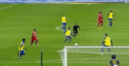 IMG_5803.gif